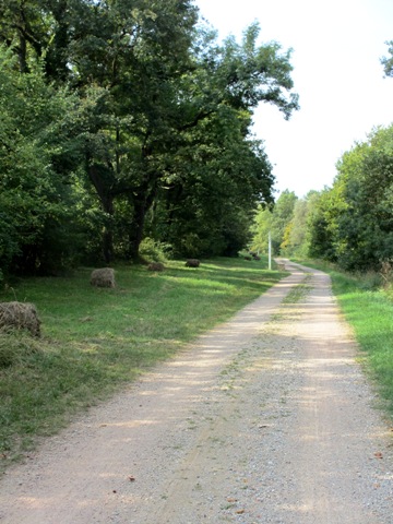 rheinuferweg