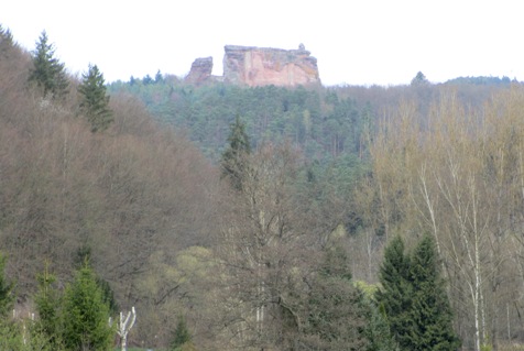 Pfälzer Wald