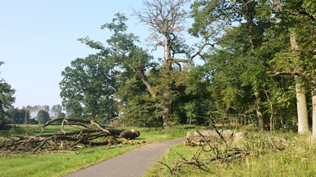 Eichenwälder