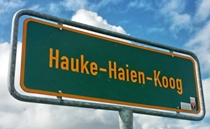 Hauke Haien